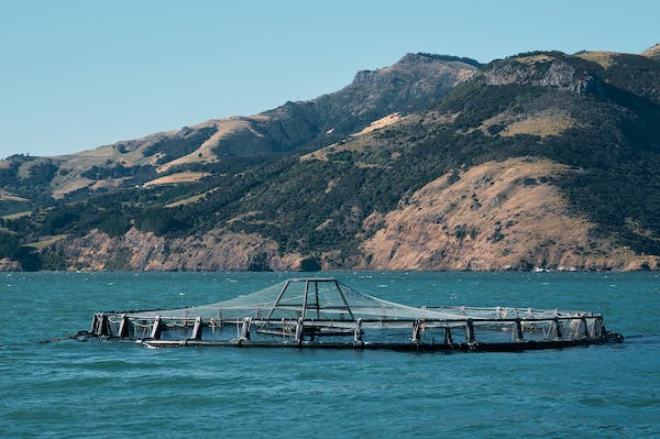 Fisheries and Aquaculture