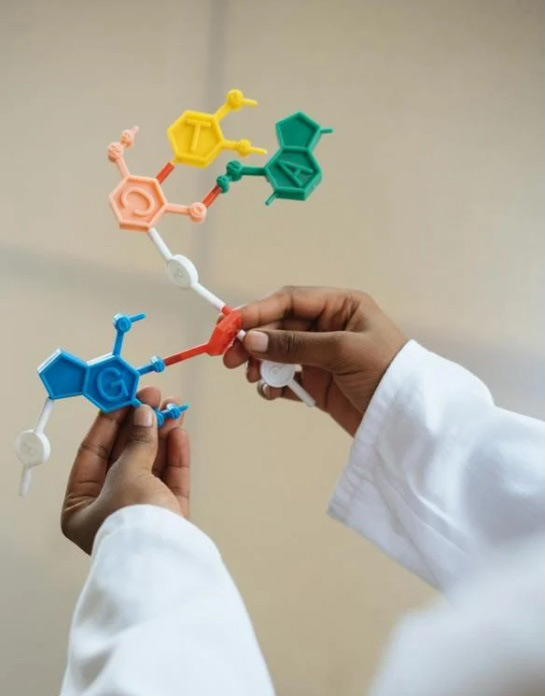 Chemical and Petrochemical