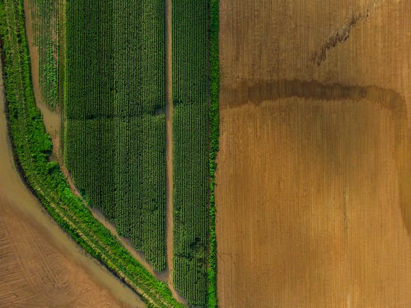 Agriculture and Irrigation