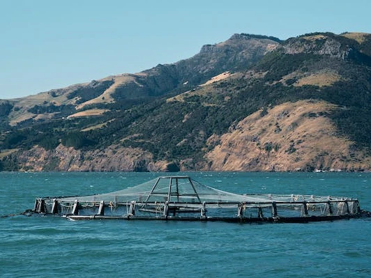 Aquaculture-1