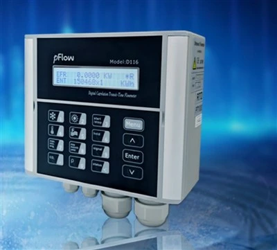 D116-RTD-PT1000 BTU Flowmeter