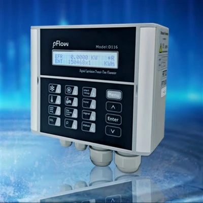 D116 Ultrasonic BTU Flow Meter For Liquid Cooling