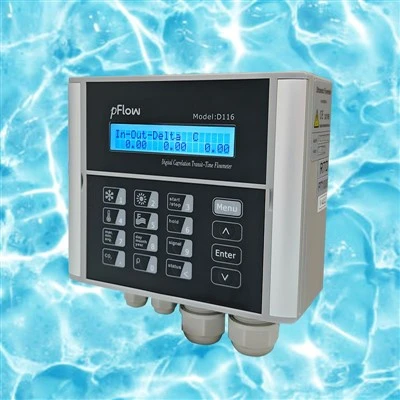 D116 Ultrasonic Energy Flow Meter For HVAC