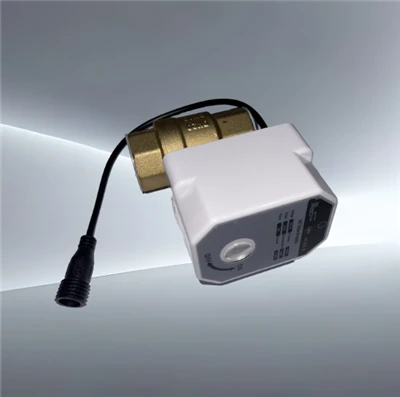 LoRaWan Valve For Cultivated Plants