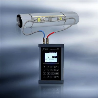 P116 Portable Flowmeter For Ultra-pure Water