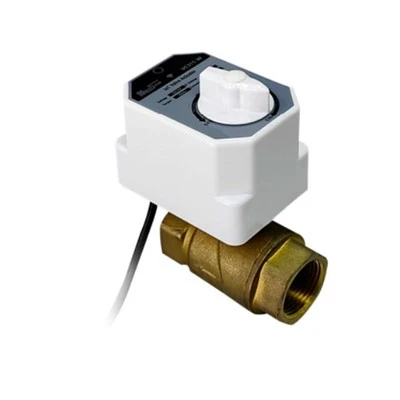 Smart Control Valve VC311W